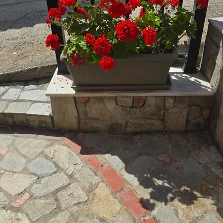Elena Ξενοδοχείο